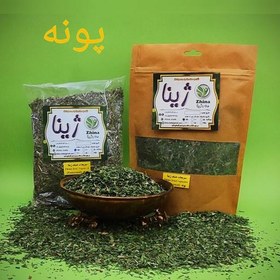 تصویر سبزی پونه خشک ژینا درجه یک و اعلا 150 گرمی از کویر خراسان 