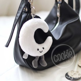 تصویر جا کلیدی ماه 