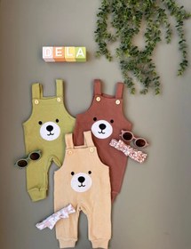 تصویر بیلر خرسی بیسکوییتی 