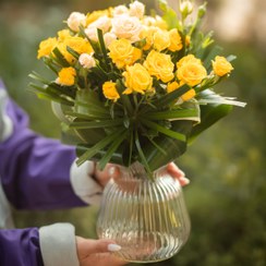 تصویر جام گل رز مینیاتوری زرد و گلبهی 