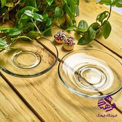 تصویر نلبکی مرجان کورالو14 بزرگ شیرینگ کاوه (6دک) 