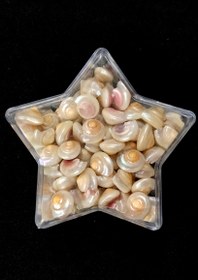 تصویر صدف ریز براق shells