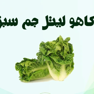 تصویر فروشگاه باغبان ارگانیک