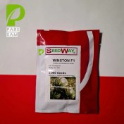 تصویر بذر هنداونه وینستون سیدوی 