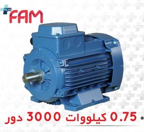 تصویر الکتروموتور سه فاز 0.75 کیلووات 3000 دور فریم آلومینیومی موتوژن three-phase electric motor 0.75KW 3000 RPM with Aluminum frame Motogen