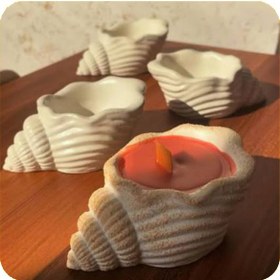 تصویر صدف حلزونی دکوری (کد906) 