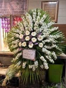 تصویر فروشگاه گل و گیاه فلوریکا