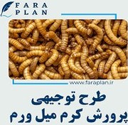 تصویر طرح توجیهی پرورش کرم میل ورم (mealworm) 