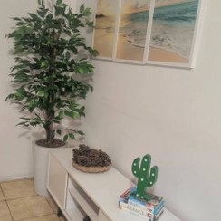 تصویر درختچه بنجامین مصنوعی 