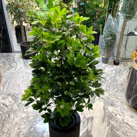 تصویر درختچه شفلرا مصنوعی 