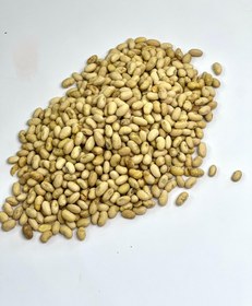 تصویر سویا آجیلی لیمویی 