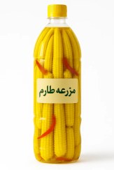 تصویر ترشی بیبی کورن (بچه بلال) 100% طبیعی و اورگانیک 