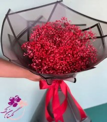 تصویر دسته گل ژیپسوفیلا قرمز 