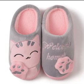 تصویر پاپوش زنانه کیتی 