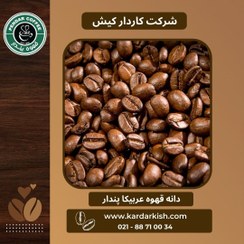 تصویر دانه قهوه عربیکای پندار 500 گرمی 