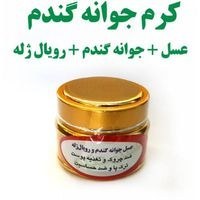 تصویر کرم جوانه گندم 