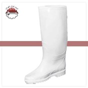 تصویر چکمه شهپر 