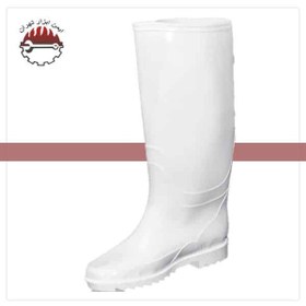 تصویر چکمه شهپر 