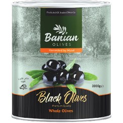تصویر زیتون سیاه با هسته قوطی 3 کیلوگرمی بانیان 