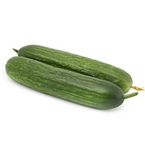 تصویر فروشگاه پالامی