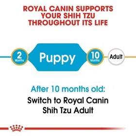 تصویر غذای خشک سگ شیتزو پاپی رویال کنین وزن ۱/۵ کیلوگرم ا Royal Canin Shih Tzu Puppy 1/5kg Royal Canin Shih Tzu Puppy 1/5kg
