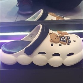 تصویر کراکس خرس و بیسکویت 