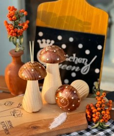 تصویر ست قارچ چوبی 