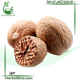 تصویر جوز هندی 