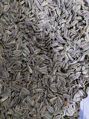 تصویر تخمه آفتابگردان گلپر Sunflower Seeds with Golpar