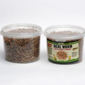 تصویر میلورم برند الیوت 