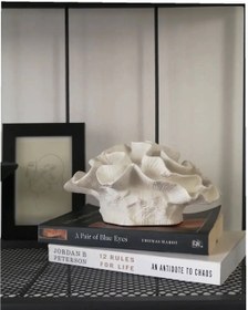 تصویر مرجان دریایی coral sea