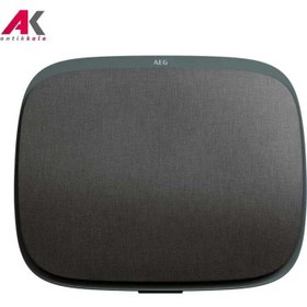 تصویر تصفیه هوا آاگ مدل AEG AX71-304DG 