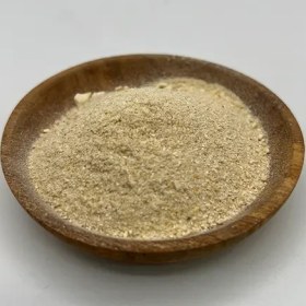 تصویر پودر پیاز 