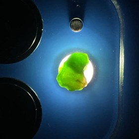 تصویر راف جواهری دمانتوئید k373 