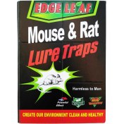 تصویر چسب موش 