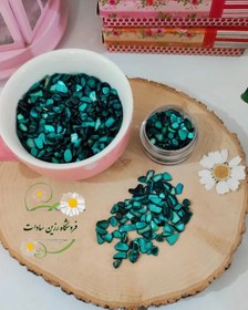 تصویر خورده صدف کله غازی 