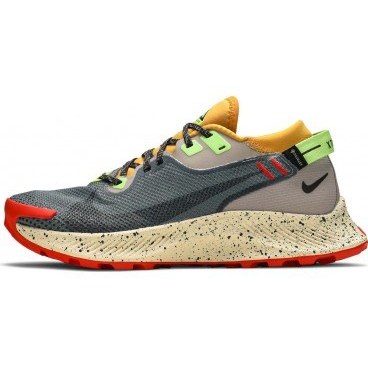 Nike Pegasus Trail 2 GTX