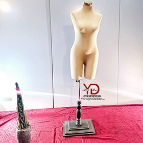 تصویر نیم تنه فاقدار 