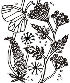 تصویر غلطک طرح دار Gr137 