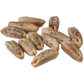 تصویر هسته خرما ( 20 کیلو - عمده) 