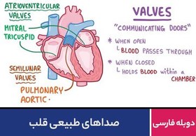 تصویر صداهای طبیعی قلب 