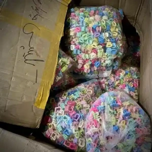 تصویر فروشگاه بازرگانی هدهد