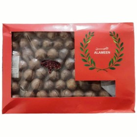 تصویر فندق ماکادمیا (500 گرم) 