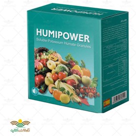 تصویر کود هومی پاور هیومات پتاسیم اسپانیایی HumiPower Potassium humate Granule Fertilizer