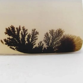 تصویر سنگ شجر کد 2303 