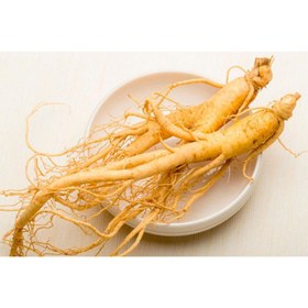 تصویر جنسینگ سفید حجم 50 گرم 