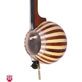 تصویر کمانچه خاتمی 