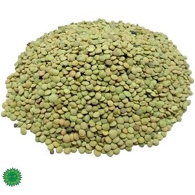 تصویر عدس ریز ۱ کیلوگرم 