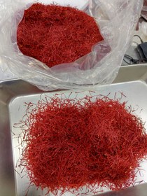 تصویر زعفران شبه نگین 