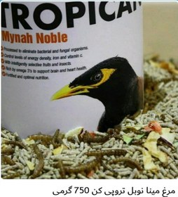 تصویر غذای مخصوص مرغ مینا برند تروپیکن Tropican Mynah Essential وزن 750 گرم 